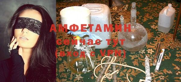 прущие грибы Аркадак