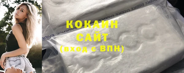 хмурый Арсеньев