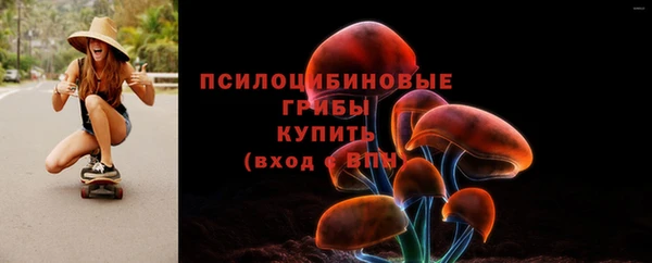 прущие грибы Аркадак