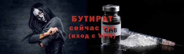 хмурый Арсеньев