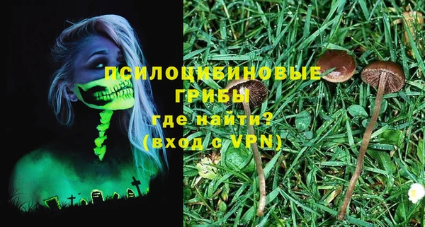 хмурый Арсеньев