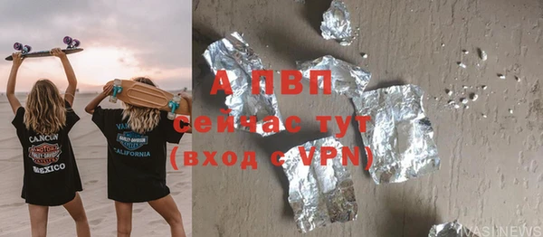 прущие грибы Аркадак