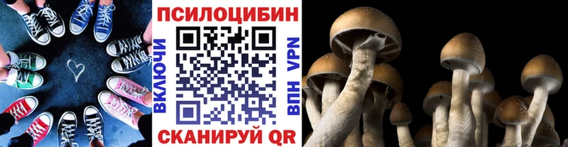 Галлюциногенные грибы GOLDEN TEACHER  цена   MEGA как зайти  Заозёрск 